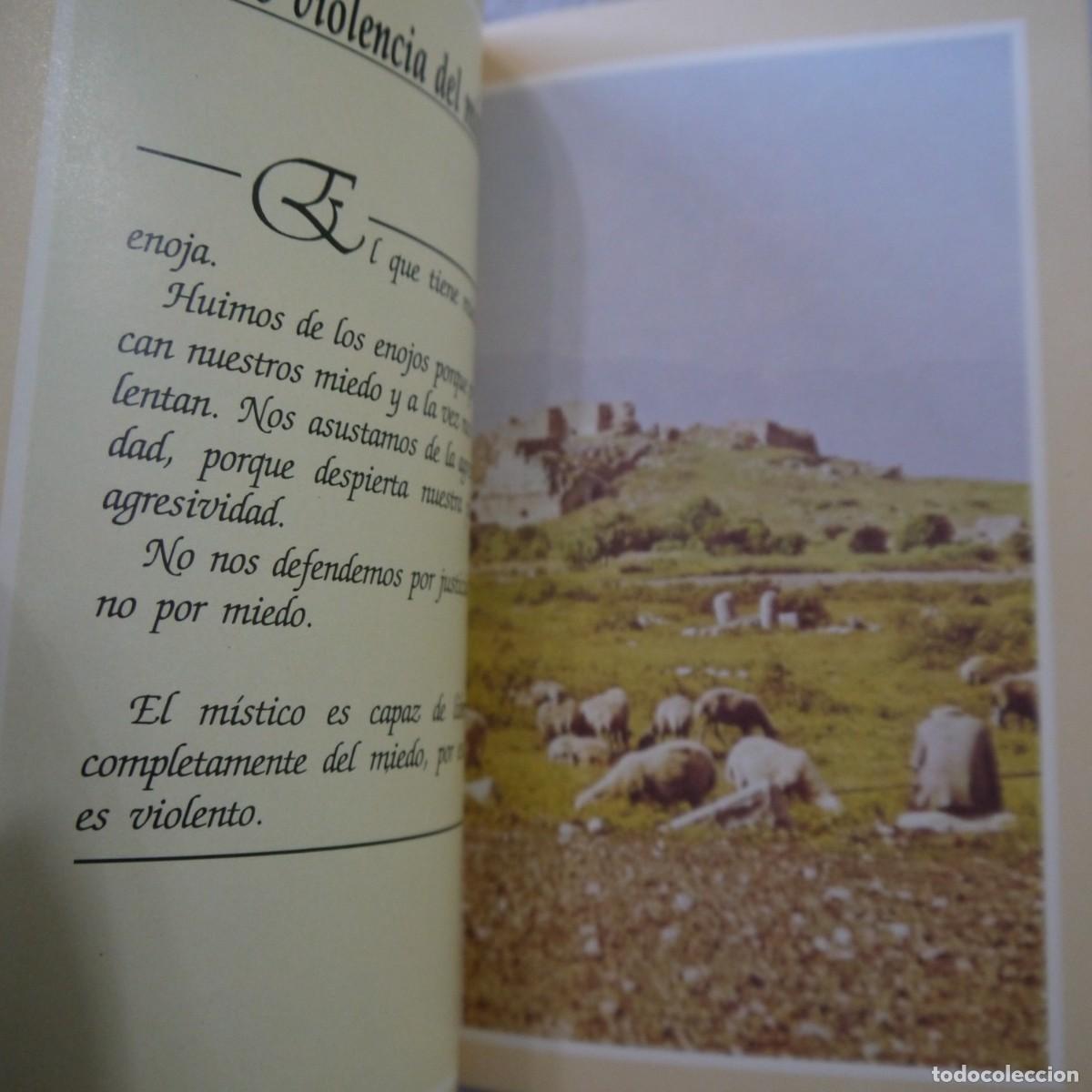 Libros de segunda mano: PERDER LOS MIEDOS. REFLEXIONES DE ANTHONY DE MELLO - LUMEN - Foto 8