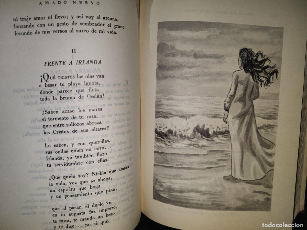 Libros de segunda mano: 213- AMADO NERVO - EDIGONVILL - 1987 - Foto 24