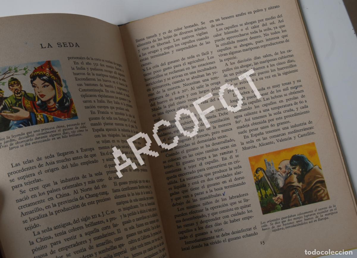 Libros de segunda mano: DE FRENTE HACIA EL PROGRESO - Editorial CANT&Aacute;BRICA 1961 - Foto 7