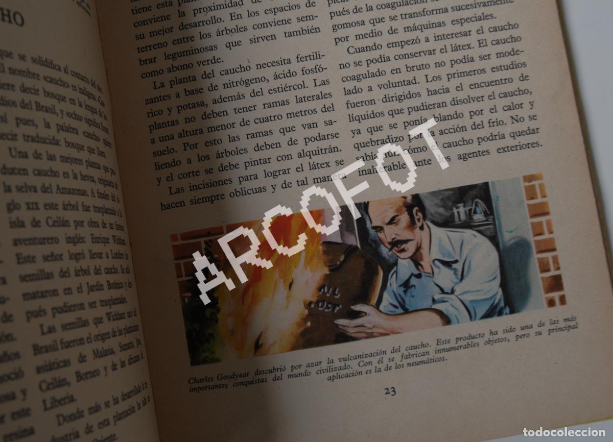 Libros de segunda mano: DE FRENTE HACIA EL PROGRESO - Editorial CANT&Aacute;BRICA 1961 - Foto 8