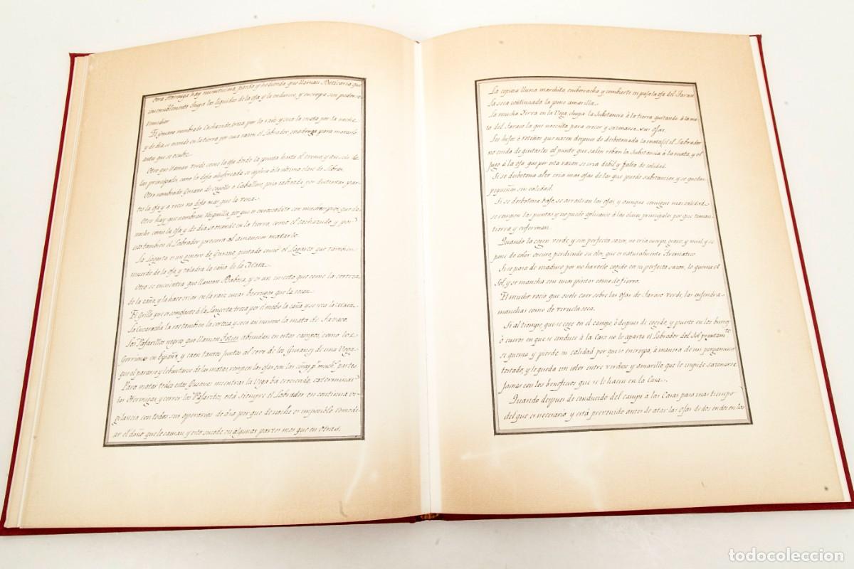 Libros de segunda mano: Ynstruccion General de el Cultibo de Tabacos - Facs&iacute;mil y libro de estudio - 1990 - Foto 6