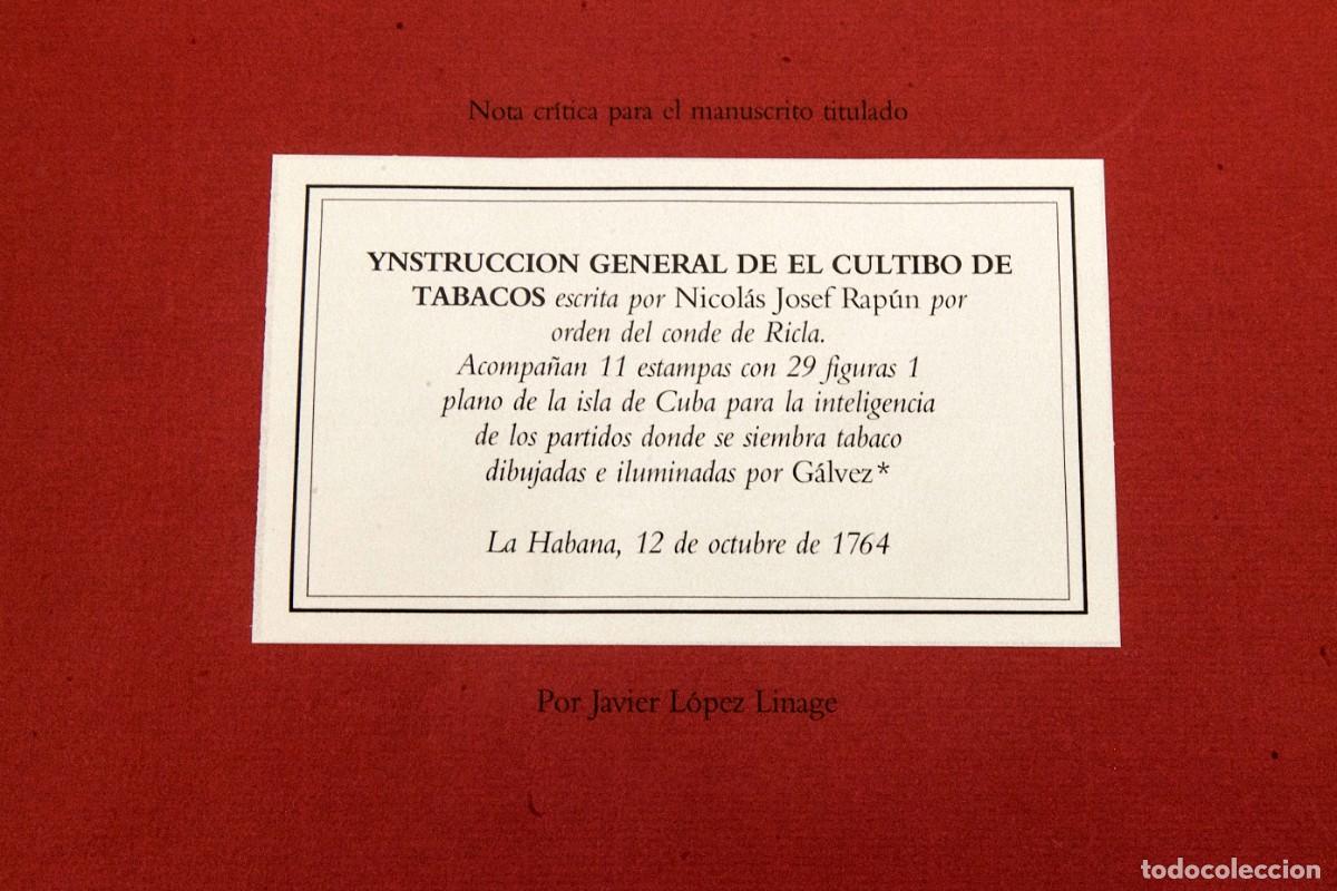 Libros de segunda mano: Ynstruccion General de el Cultibo de Tabacos - Facs&iacute;mil y libro de estudio - 1990 - Foto 14