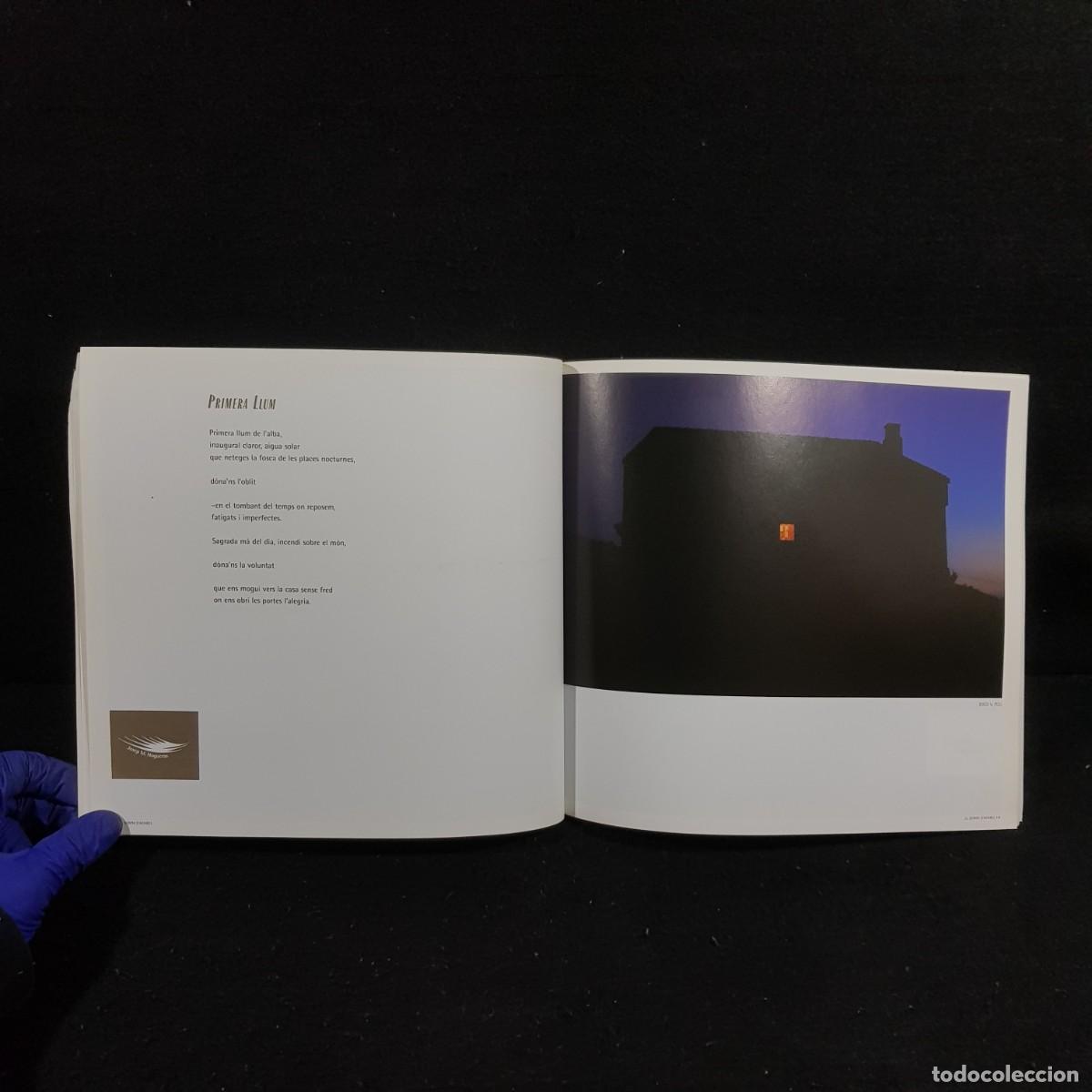 Libros de segunda mano: EL SOMNI DADABEL - EDICIONS DE LA CLAMOR / 42 - Foto 4