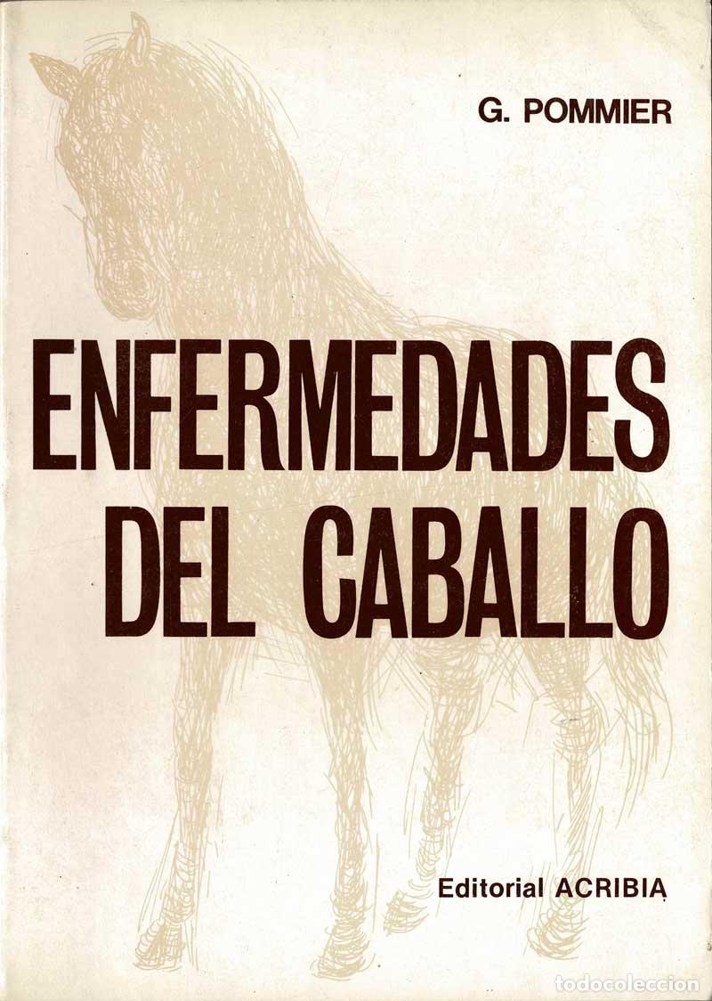 Libros de segunda mano: Enfermedades del caballo - G. Pommier - Foto 1