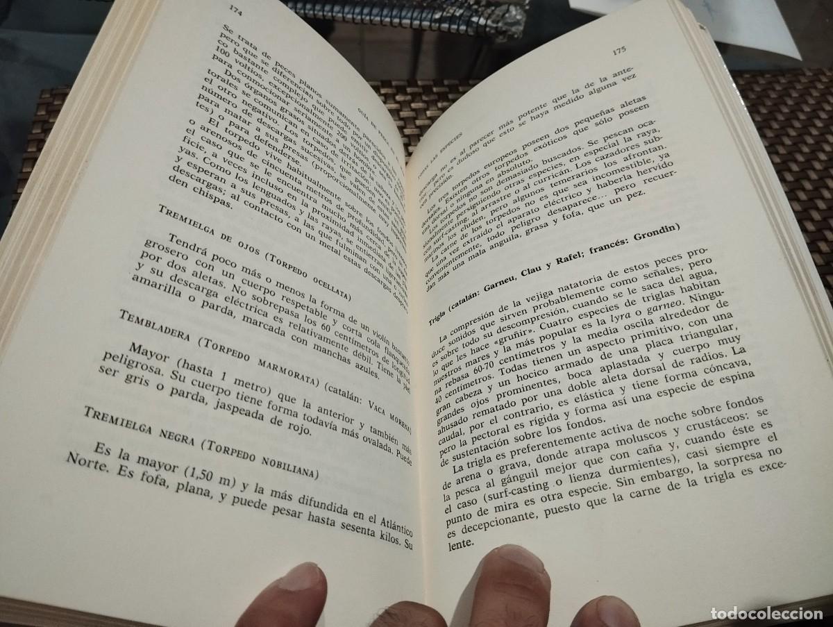 Libros de segunda mano: GUIA DE PESCA EN EL MAR MICHEL VAN HAVRE 1986 - Foto 3