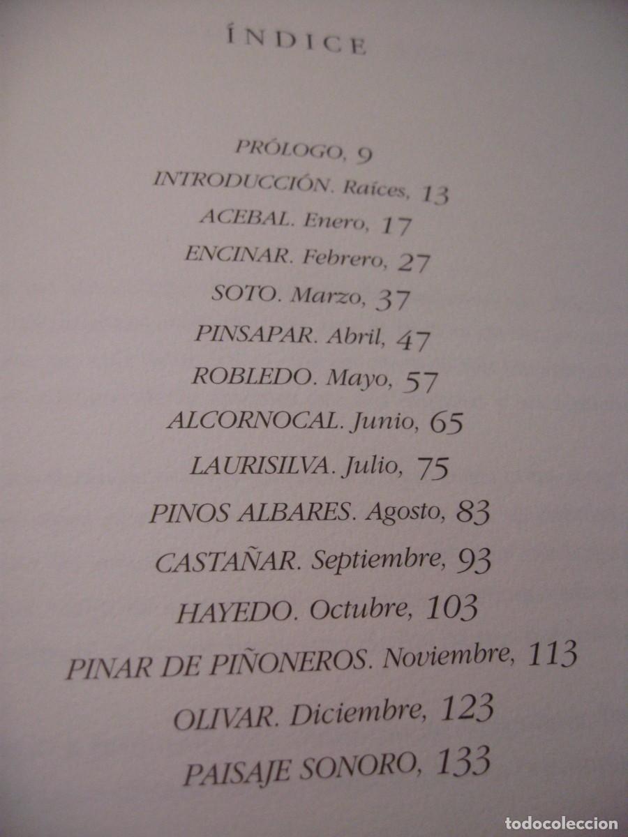 Libros de segunda mano: LOS INSTANTES DEL BOSQUE. JOAQUIN ARAJU. 1995. - Foto 7