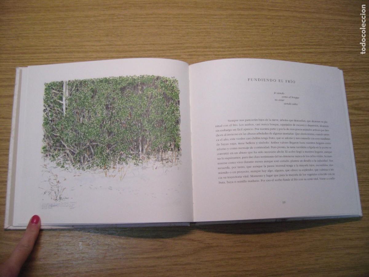 Libros de segunda mano: LOS INSTANTES DEL BOSQUE. JOAQUIN ARAJU. 1995. - Foto 8