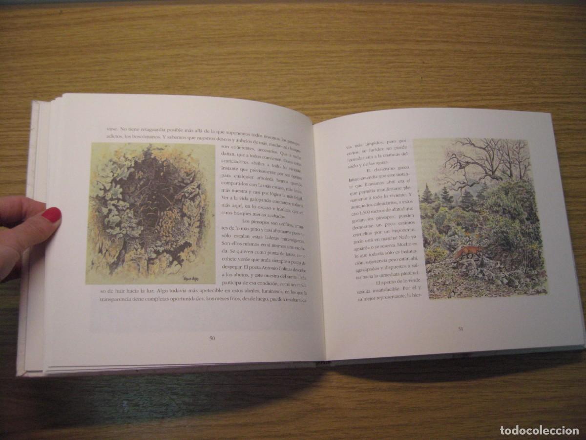 Libros de segunda mano: LOS INSTANTES DEL BOSQUE. JOAQUIN ARAJU. 1995. - Foto 9
