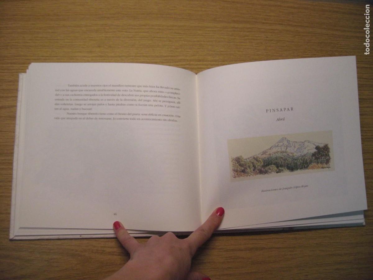 Libros de segunda mano: LOS INSTANTES DEL BOSQUE. JOAQUIN ARAJU. 1995. - Foto 10