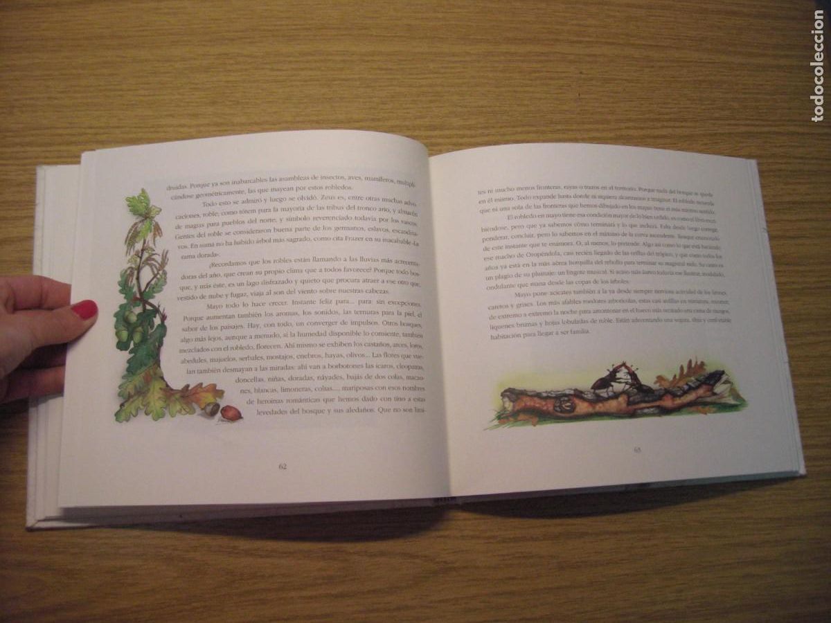 Libros de segunda mano: LOS INSTANTES DEL BOSQUE. JOAQUIN ARAJU. 1995. - Foto 11