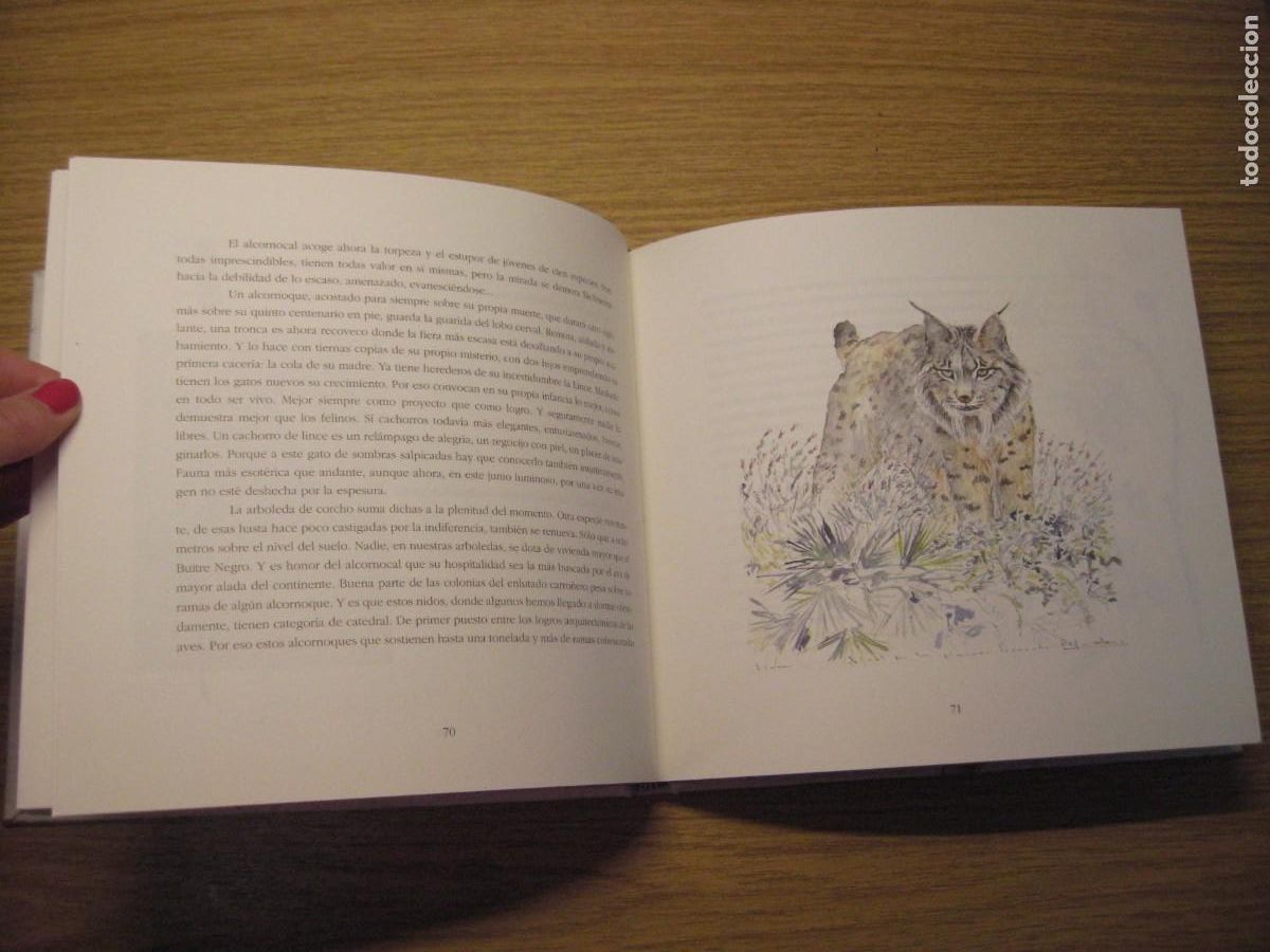 Libros de segunda mano: LOS INSTANTES DEL BOSQUE. JOAQUIN ARAJU. 1995. - Foto 12