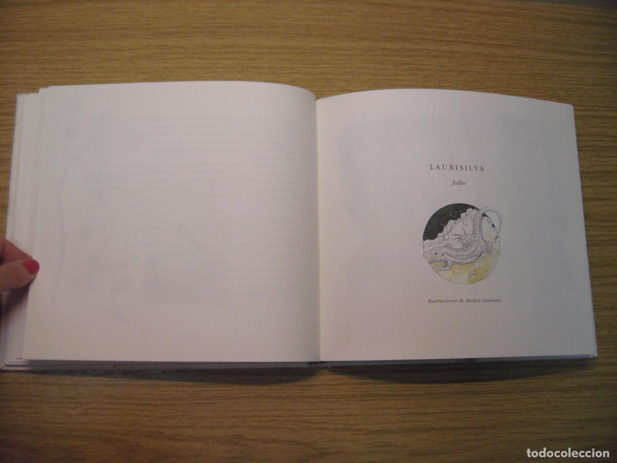 Libros de segunda mano: LOS INSTANTES DEL BOSQUE. JOAQUIN ARAJU. 1995. - Foto 13