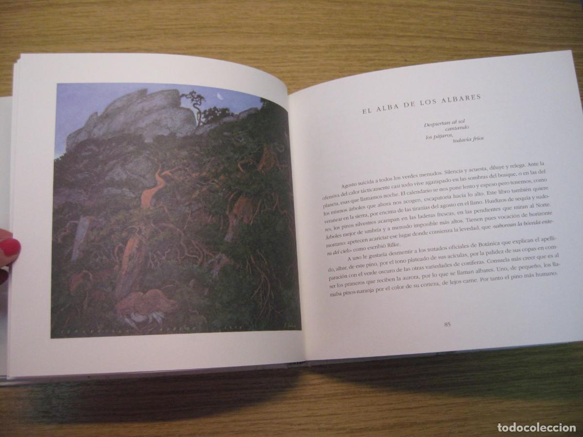 Libros de segunda mano: LOS INSTANTES DEL BOSQUE. JOAQUIN ARAJU. 1995. - Foto 14