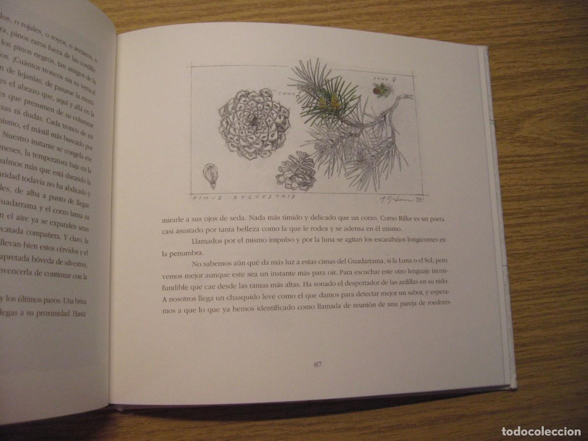 Libros de segunda mano: LOS INSTANTES DEL BOSQUE. JOAQUIN ARAJU. 1995. - Foto 15