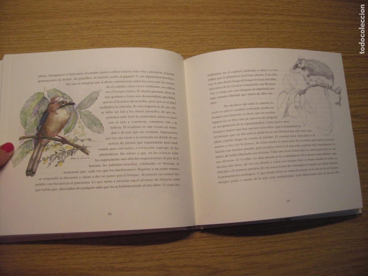 Libros de segunda mano: LOS INSTANTES DEL BOSQUE. JOAQUIN ARAJU. 1995. - Foto 16