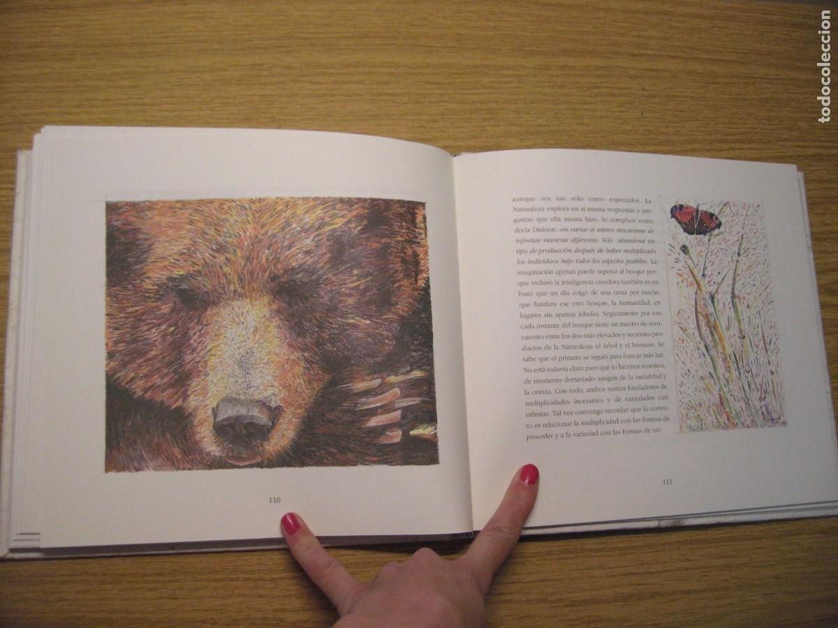Libros de segunda mano: LOS INSTANTES DEL BOSQUE. JOAQUIN ARAJU. 1995. - Foto 17