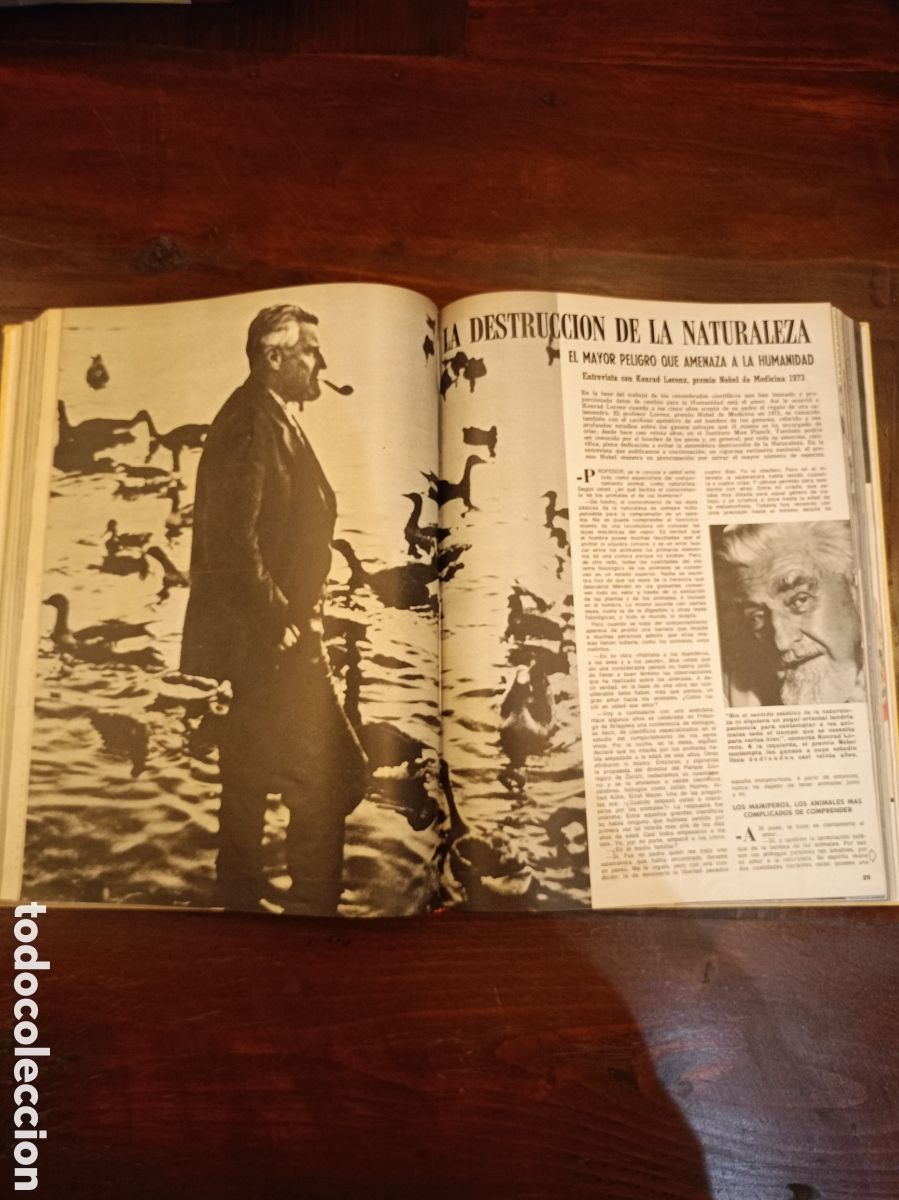 Libros de segunda mano: LOS DOMINGOS DE ABC 1974 - Foto 7