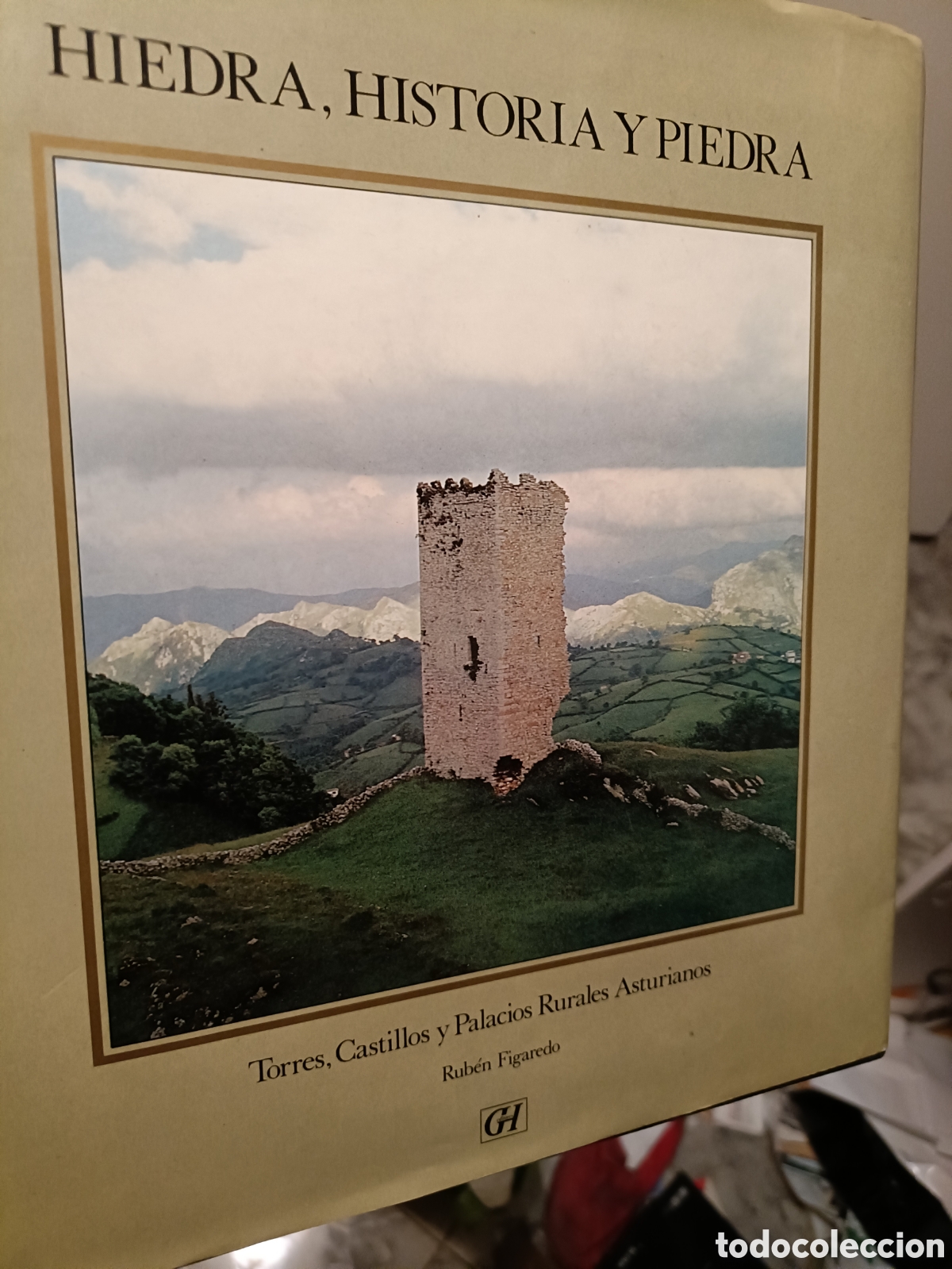Libros de segunda mano: Hiedra historia y piedra torres castillos y palacos rurales Asturianos
