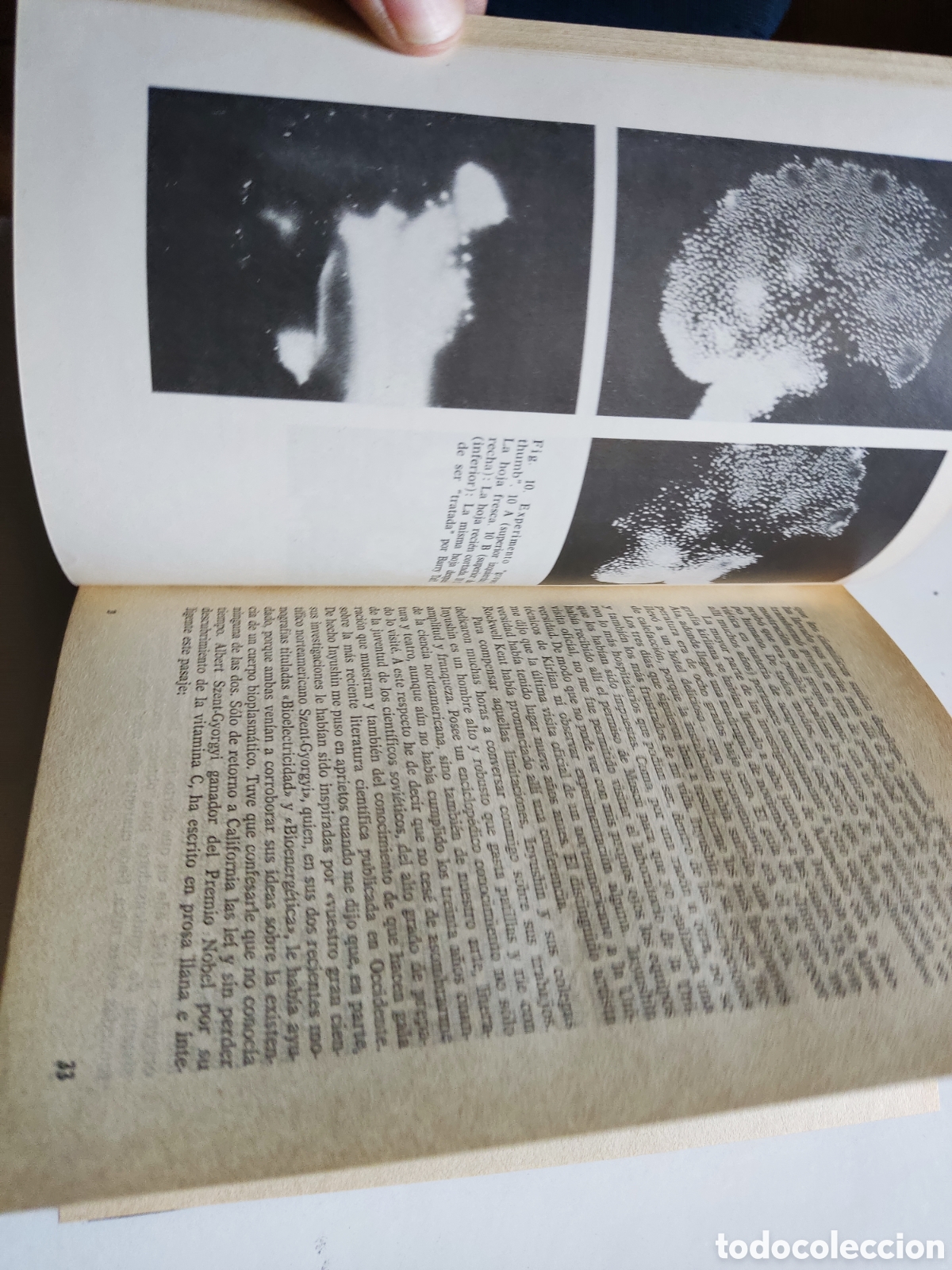 Libros de segunda mano: Libro Las probabilidades de lo imposible de Thelma moss - Foto 7
