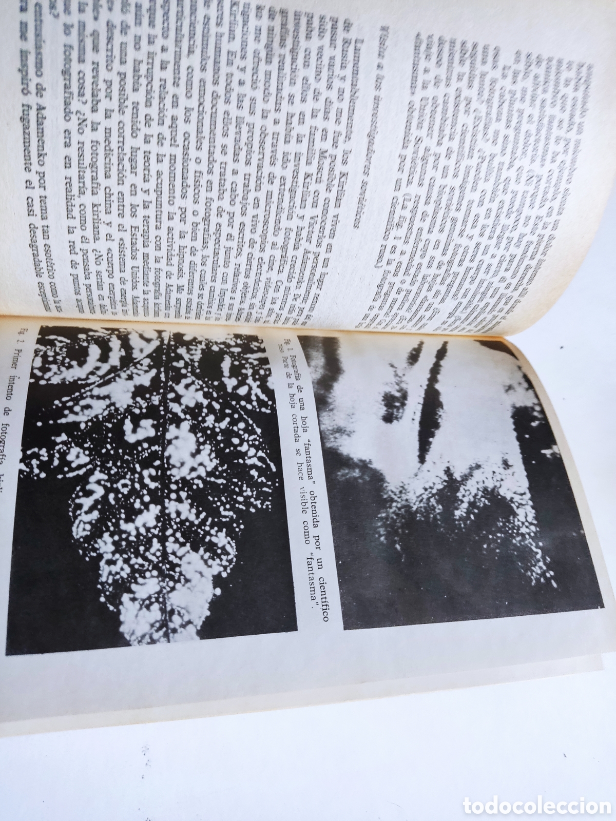 Libros de segunda mano: Libro Las probabilidades de lo imposible de Thelma moss - Foto 8