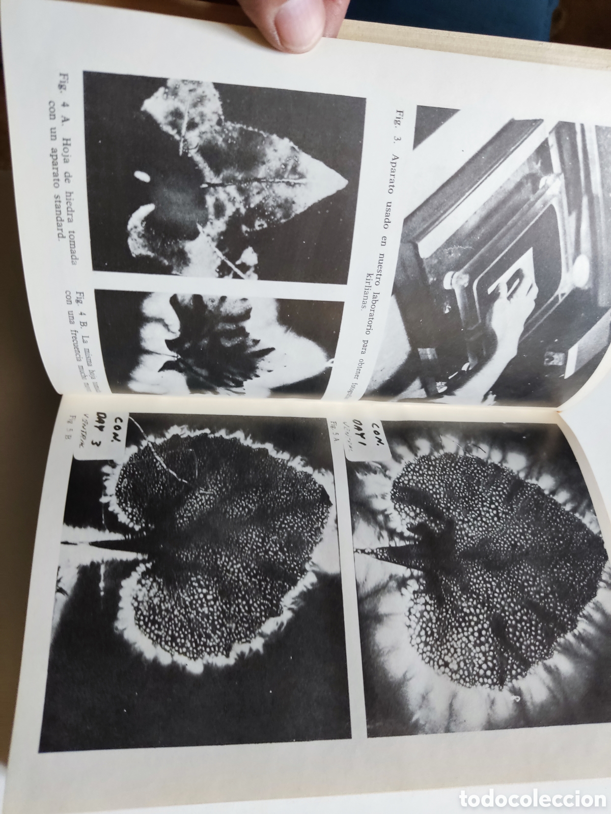Libros de segunda mano: Libro Las probabilidades de lo imposible de Thelma moss - Foto 9