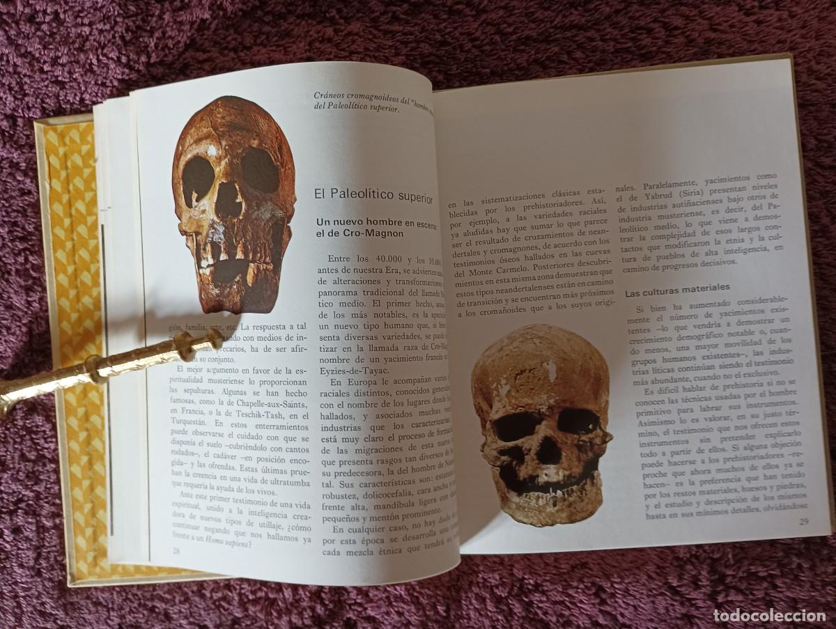 Libros de segunda mano: LA PREHISTORIA - BIBLIOTECA SALVAT DE GRANDES TEMAS - Foto 8