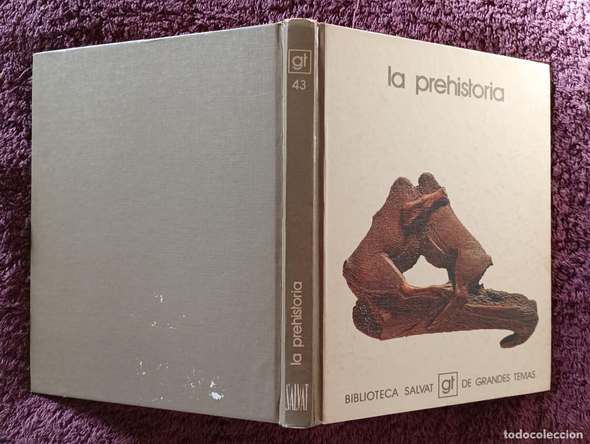 Libros de segunda mano: LA PREHISTORIA - BIBLIOTECA SALVAT DE GRANDES TEMAS - Foto 17