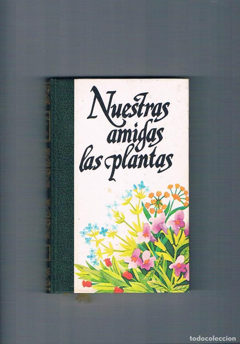 Libros de segunda mano: Nuestras amigas las plantas 2 Amigos de la historia 1977 - Foto 1