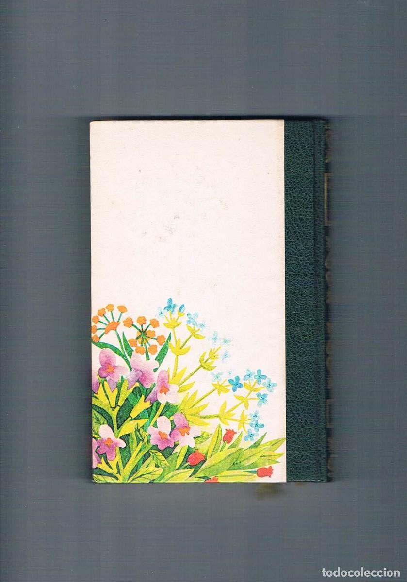 Libros de segunda mano: Nuestras amigas las plantas 2 Amigos de la historia 1977 - Foto 2