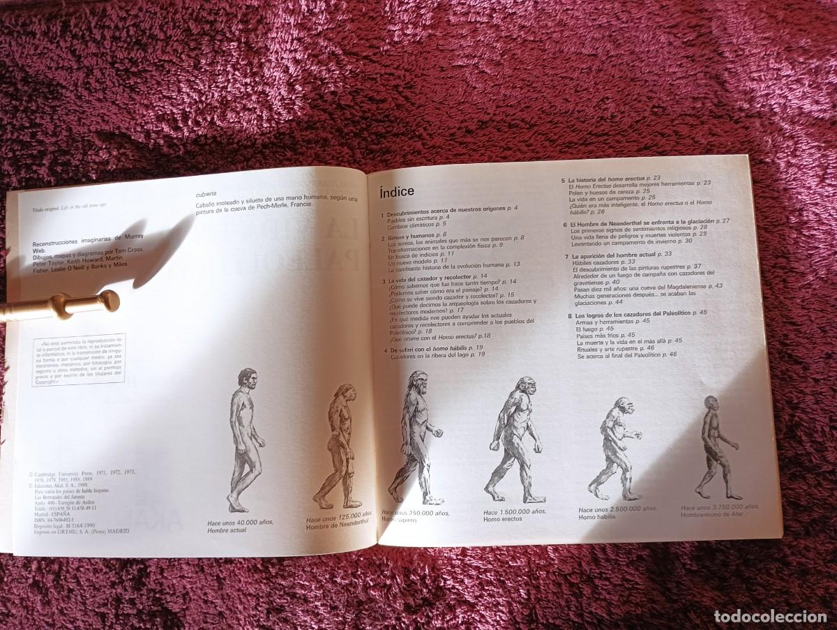 Libros de segunda mano: LA VIDA EN EL PALEOL&Iacute;TICO. CHARLES HIGHAM. - Foto 3