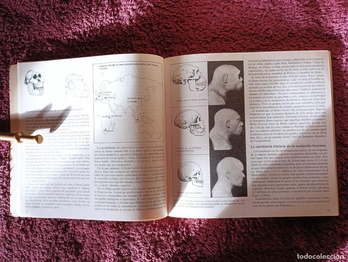 Libros de segunda mano: LA VIDA EN EL PALEOL&Iacute;TICO. CHARLES HIGHAM. - Foto 6
