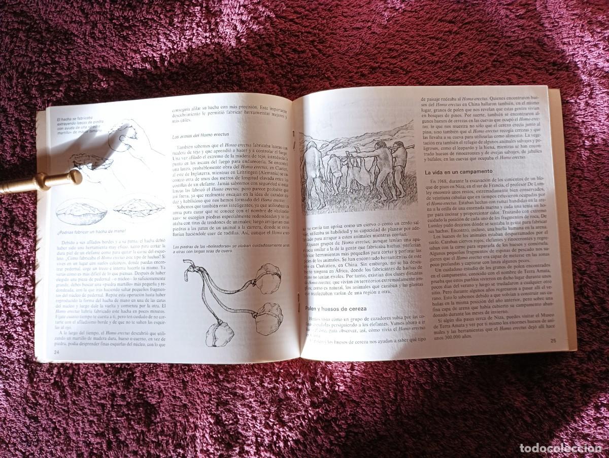 Libros de segunda mano: LA VIDA EN EL PALEOL&Iacute;TICO. CHARLES HIGHAM. - Foto 7
