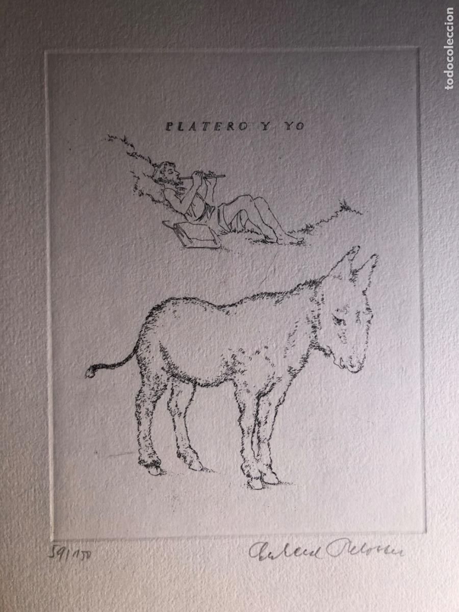Libros de segunda mano: Platero y yo Juan Ram&oacute;n Jim&eacute;nez Schlotter - Foto 4