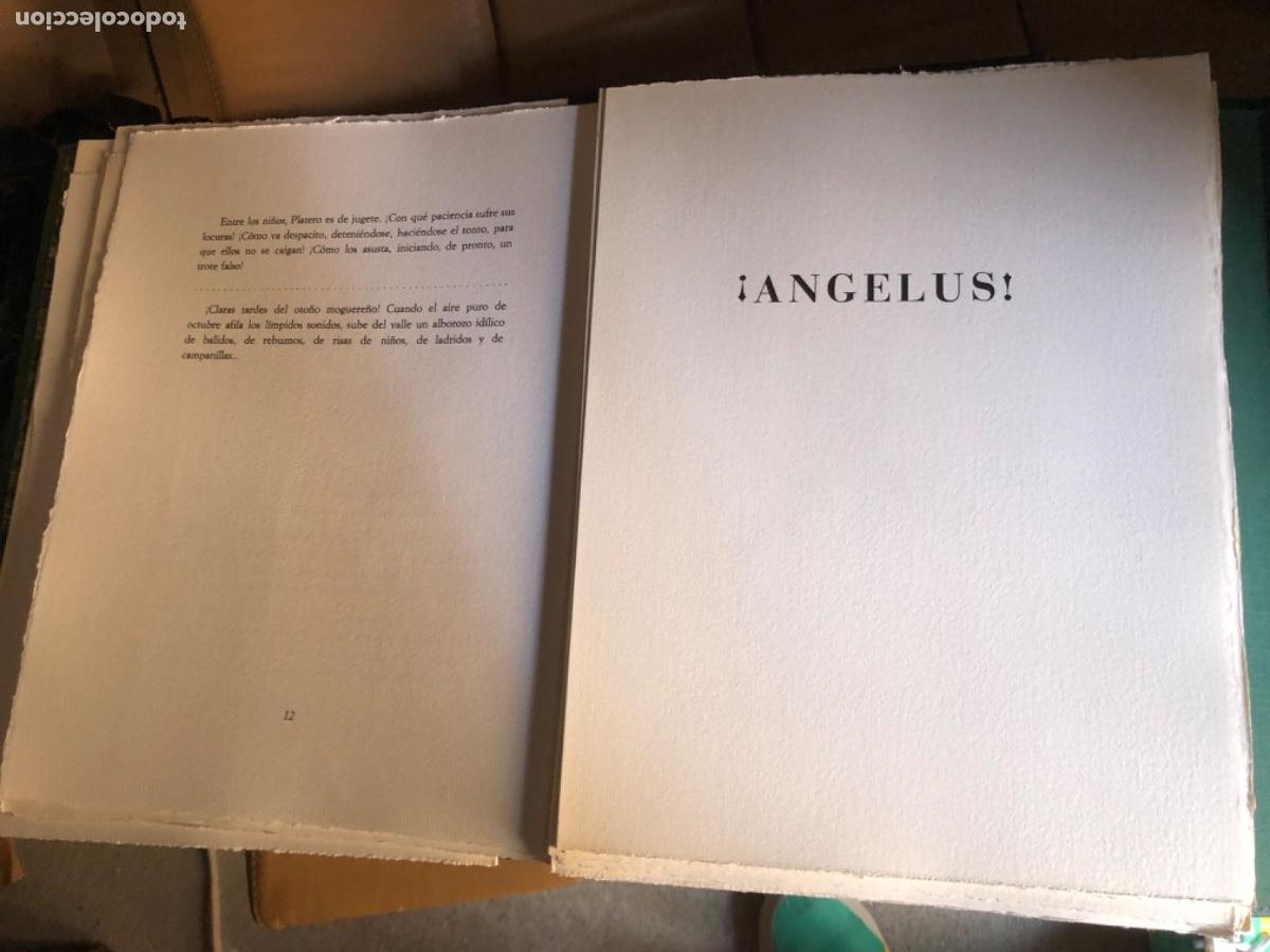 Libros de segunda mano: Platero y yo Juan Ram&oacute;n Jim&eacute;nez Schlotter - Foto 6
