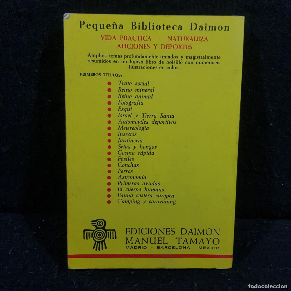 Libros de segunda mano: JARDINES - PIERRE ROCHE - GUY MICHEL - EDICIONES DAIMON MANUEL TAMAYO / 314 - Foto 2