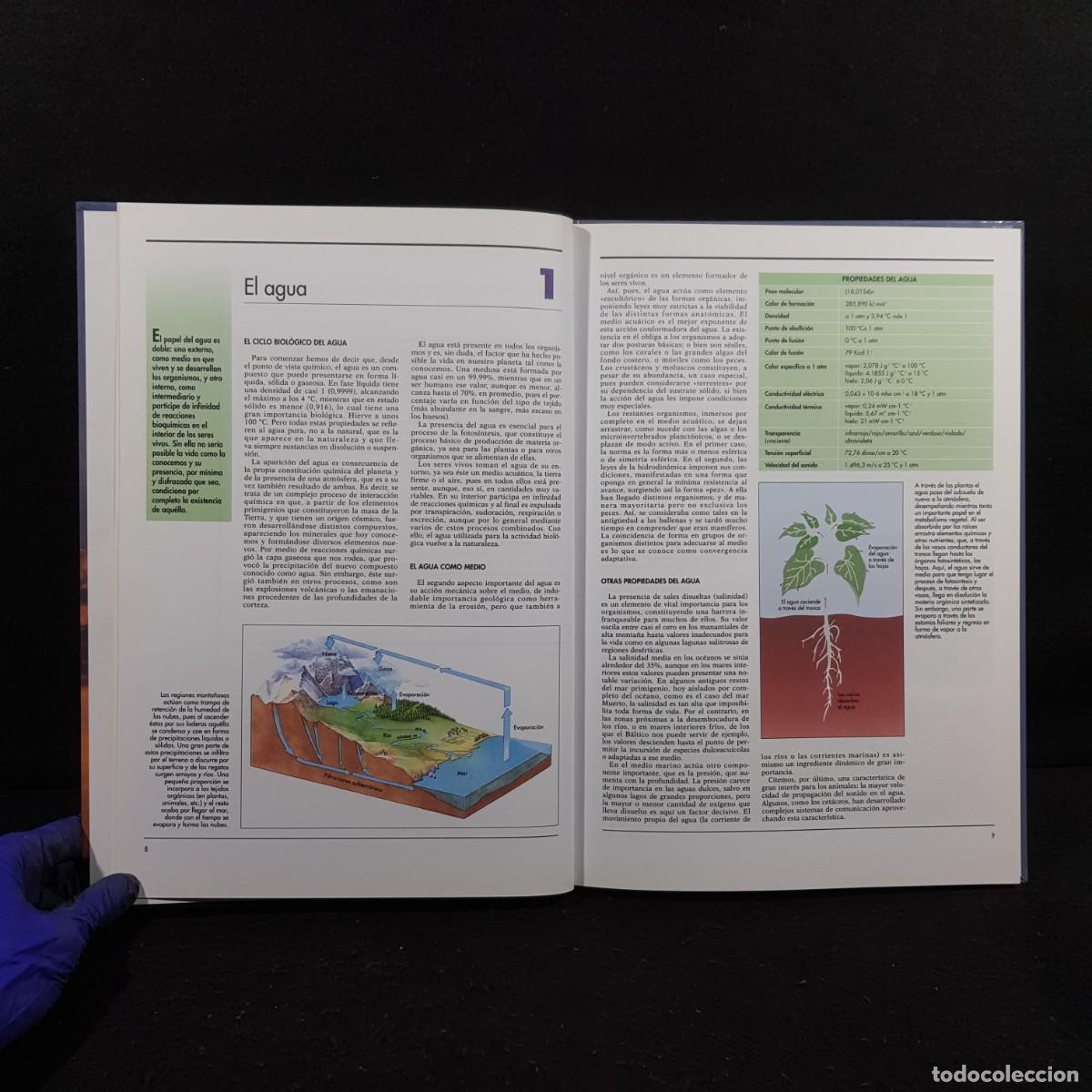 Libros de segunda mano: ECOLPG&Iacute;A- ATLAS - NUESTRO PLANETA - AUPPER / 378 - Foto 5