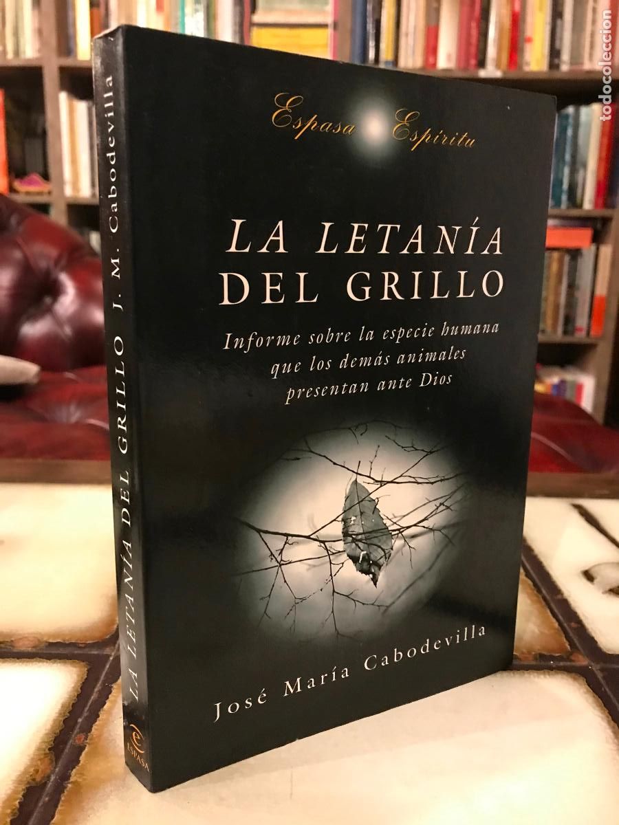 Libros de segunda mano: La letan&iacute;a del grillo. Jos&eacute; Mar&iacute;a Cabodevila. - Foto 1