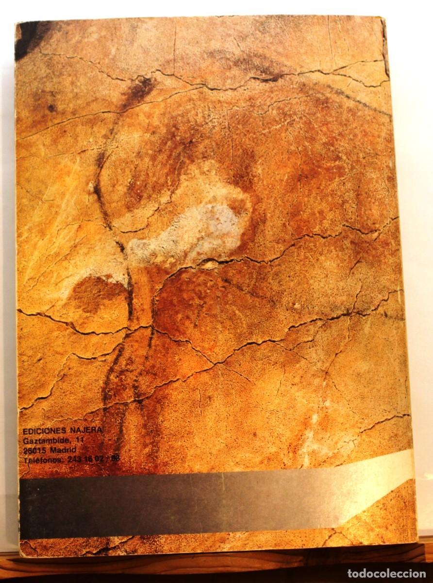 Libros de segunda mano: MANUAL DE HISTORIA UNIVERSAL. PREHISTORIA. - Foto 9