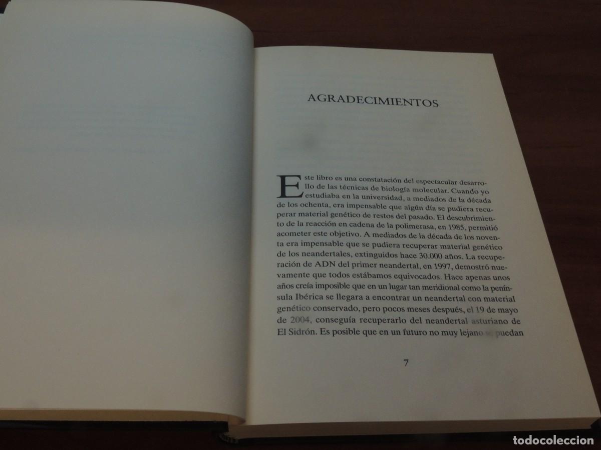 Libros de segunda mano: GENES DE NEANDERTAL. - CARLES LALUEZA FOX - Foto 4