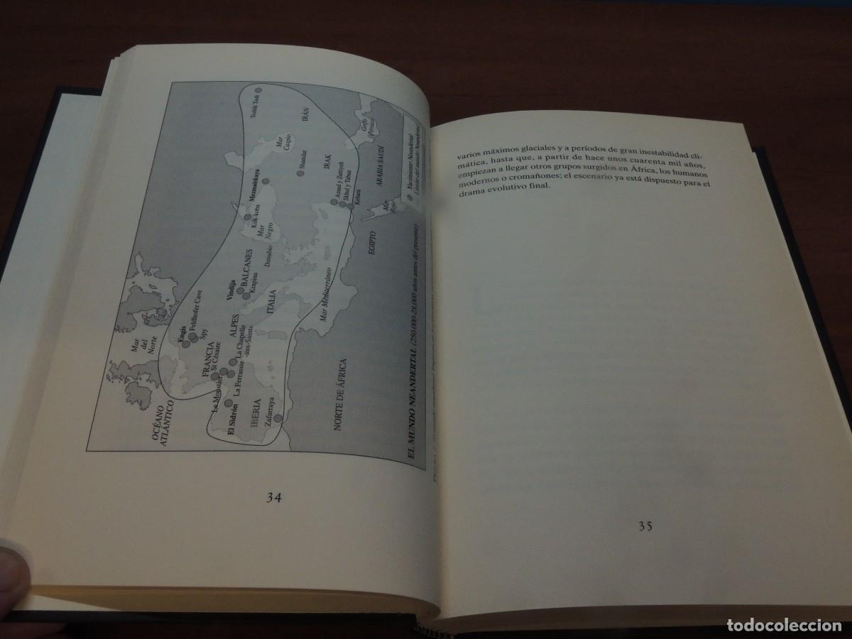 Libros de segunda mano: GENES DE NEANDERTAL. - CARLES LALUEZA FOX - Foto 7