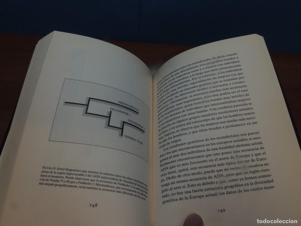 Libros de segunda mano: GENES DE NEANDERTAL. - CARLES LALUEZA FOX - Foto 10