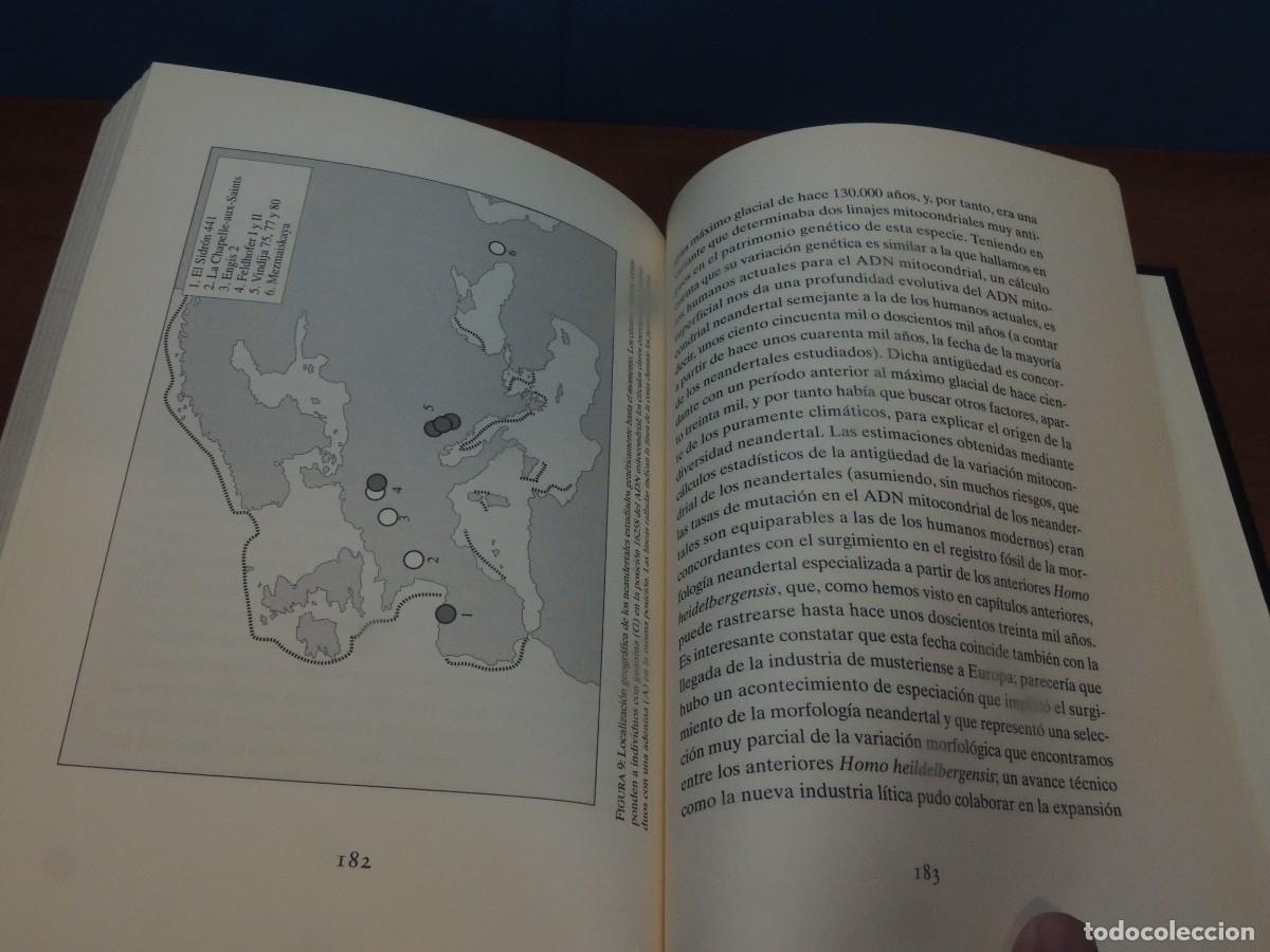 Libros de segunda mano: GENES DE NEANDERTAL. - CARLES LALUEZA FOX - Foto 11