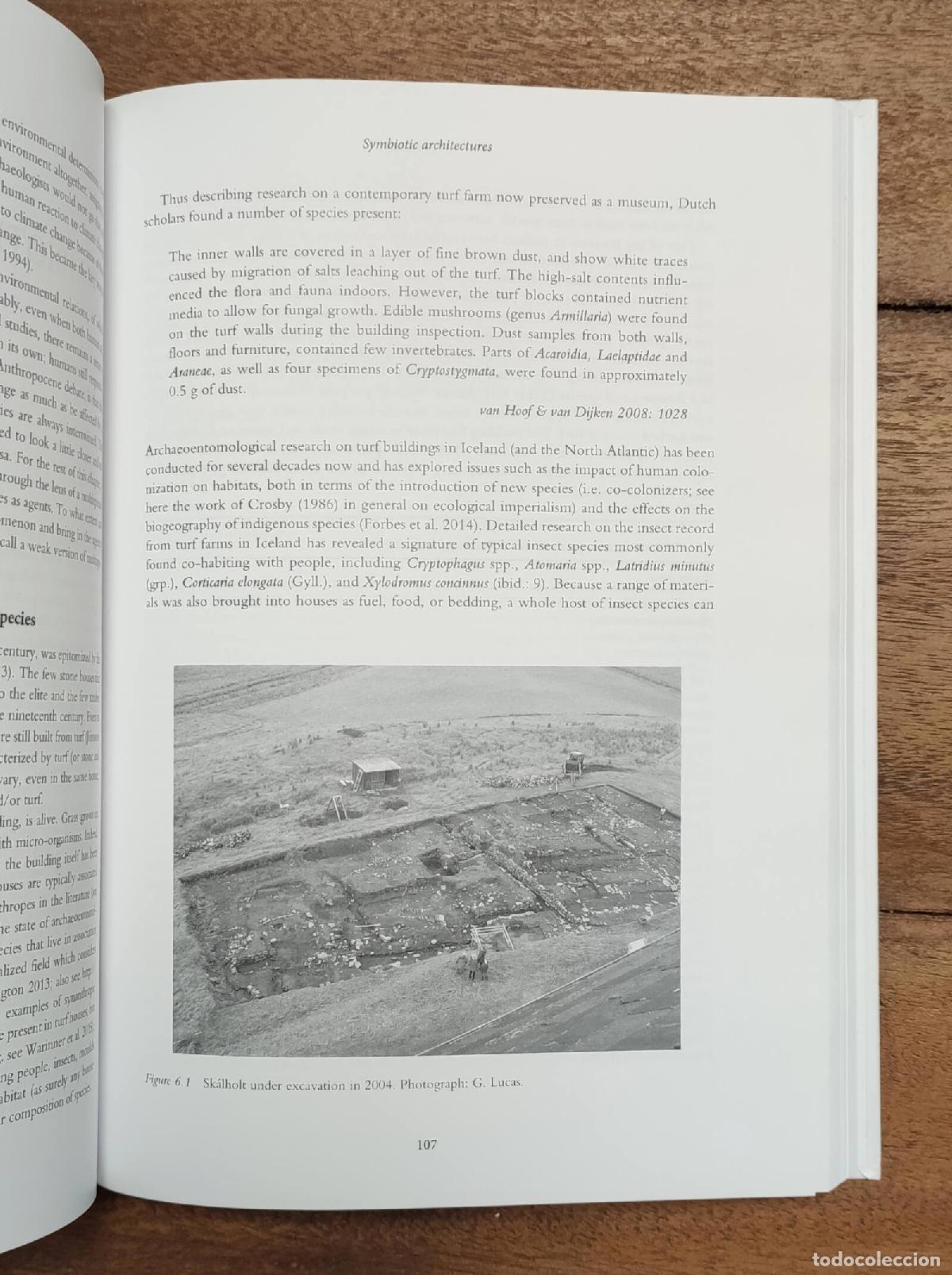 Libros de segunda mano: MULTISPECIES ARCHAEOLOGY. BIRCH, Suzanne E. Pilaar. Routledge. 2018. - Foto 4
