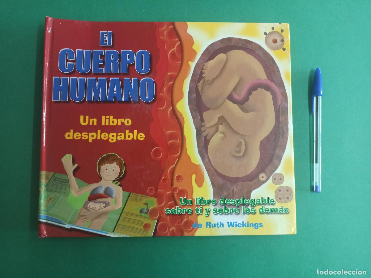 Second hand books: Antiguo libro infantil divulgativo El Cuerpo Humano. Desplegable. 2006.