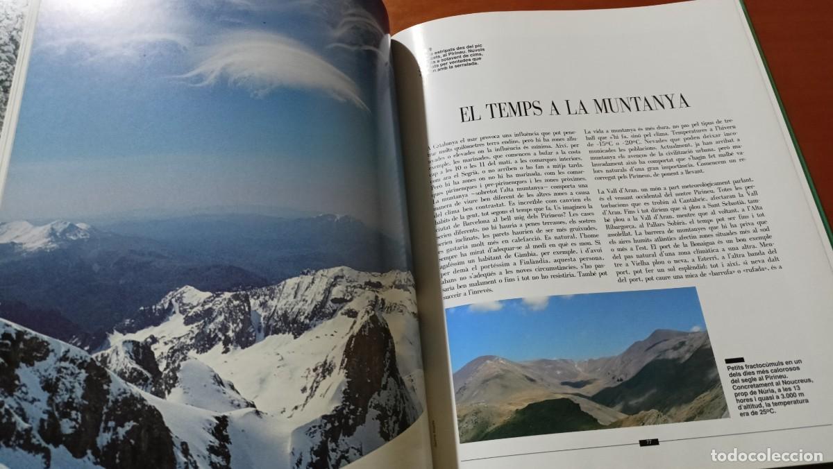Libros de segunda mano: Observant el temps - Alfred Rodr&iacute;guez Pic&oacute; - TV3 - en catal&agrave; - Foto 4