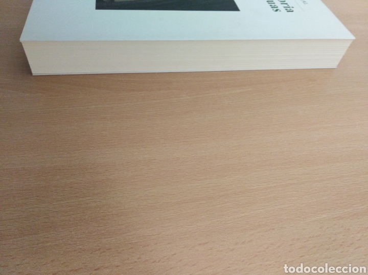 Libros de segunda mano: BREVE HISTORIA DE LAS LENGUAS. Rafael del Moral. Castalia Ediciones - Foto 6