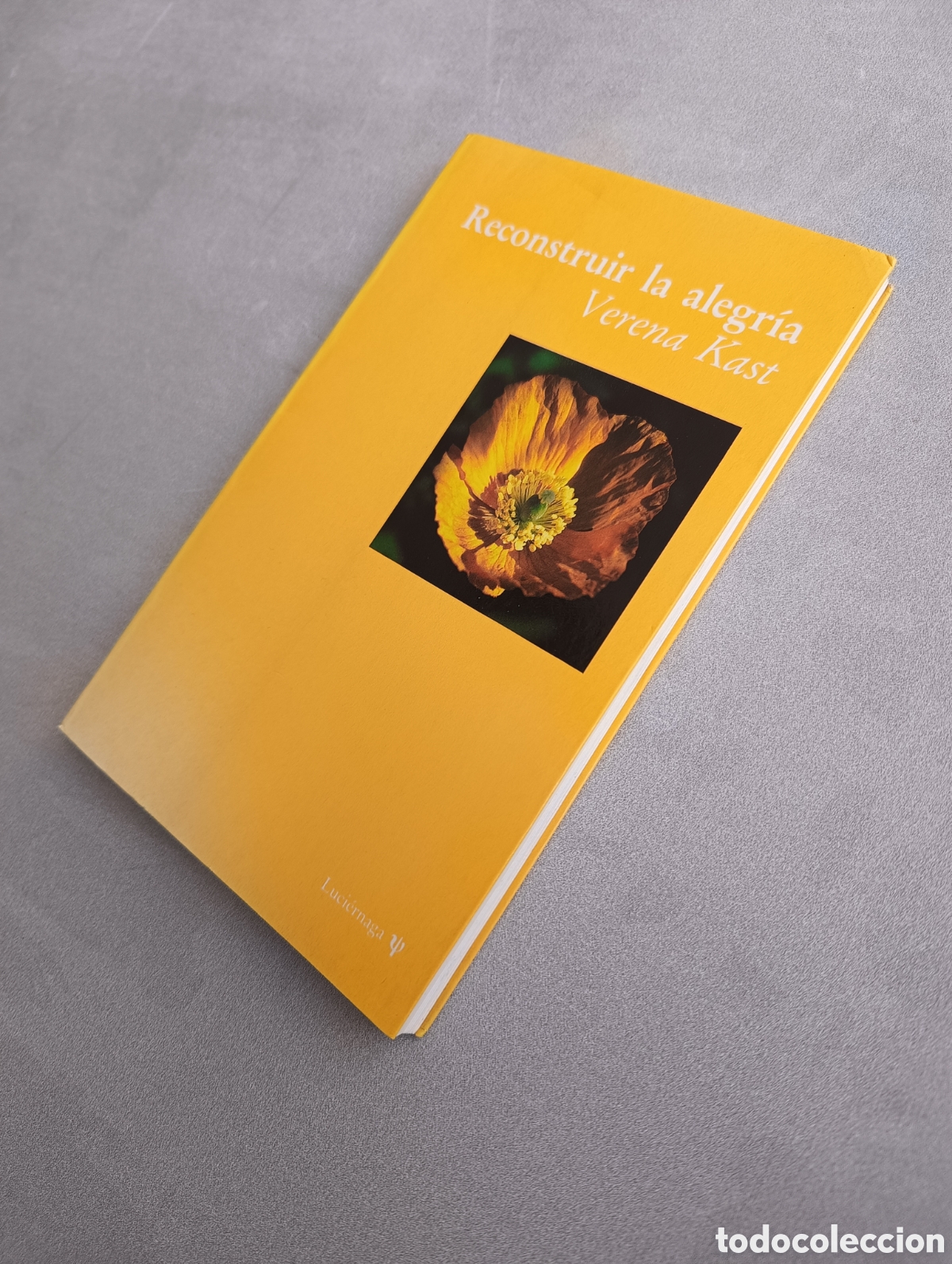 Libros de segunda mano: Reconstruir la alegr&iacute;a. Verena Kast. - Foto 4