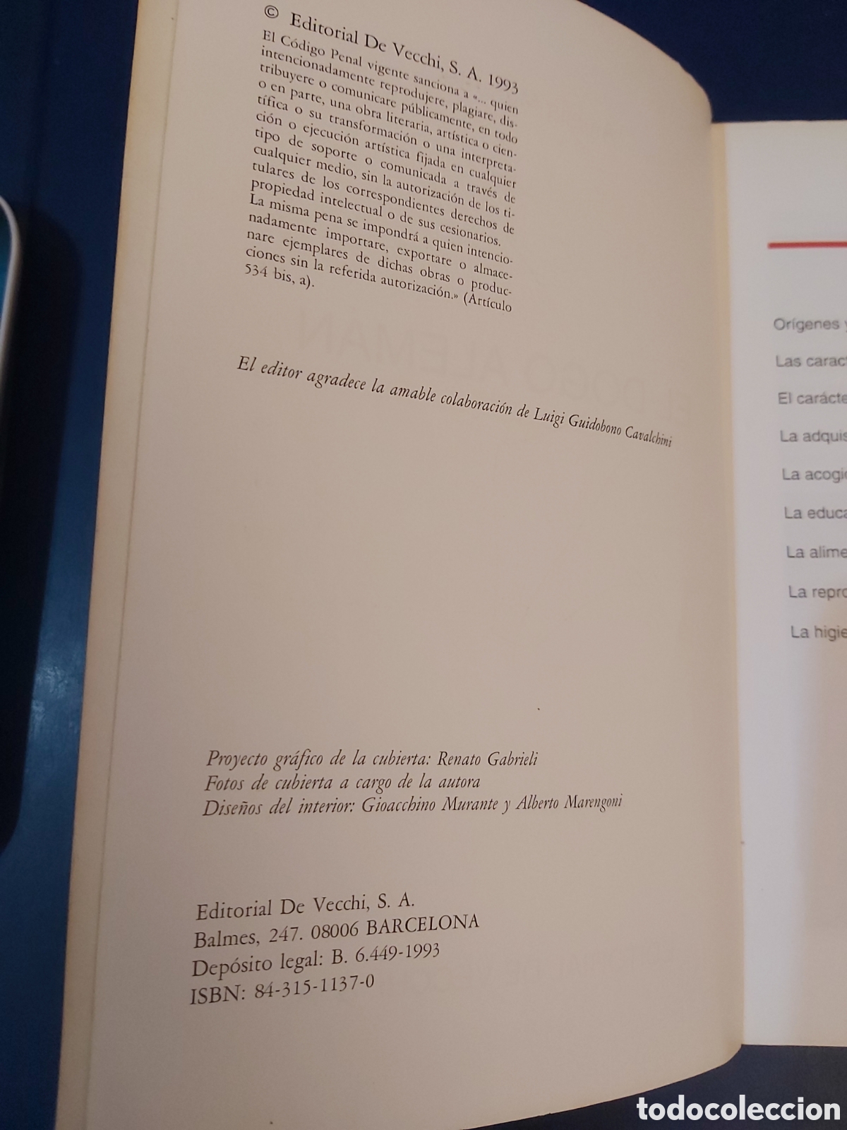 Libros de segunda mano: EL DOGO ALEM&Aacute;N # AMELIA MURANTE# EDITORIAL DE VECCHI 1993 - Foto 4
