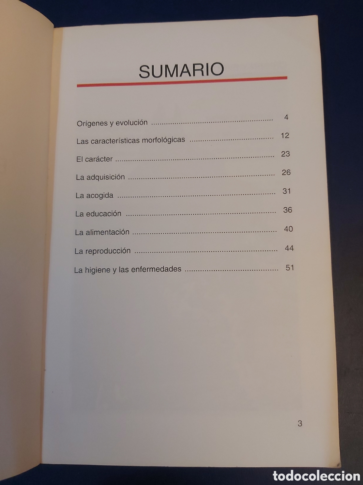 Libros de segunda mano: EL DOGO ALEM&Aacute;N # AMELIA MURANTE# EDITORIAL DE VECCHI 1993 - Foto 5