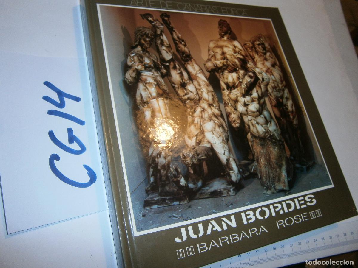 Libros de segunda mano: ANTIGUO LIBRO - JUAN BORDES - Foto 1